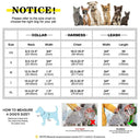 Personalized Leather Dog Collar Harness Leash Set Vest