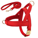 Personalized Leather Dog Collar Harness Leash Set Vest