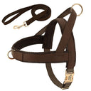 Personalized Leather Dog Collar Harness Leash Set Vest