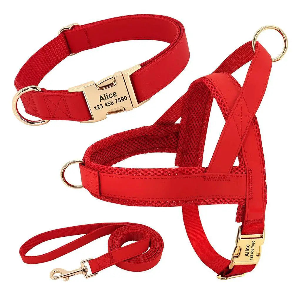 Safe Walks Dog Collar Harness for Safety — product view 14