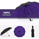 Windproof Umbrella for Rainy Days and UV