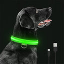 LED Glowing Dog Safety Collar Water Resistant Rechargeable