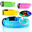 LED Glowing Dog Safety Collar Water Resistant Rechargeable