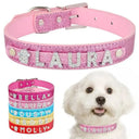 Rhinestone Dog Collar with Name Plate