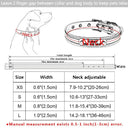 Rhinestone Dog Collar with Name Plate