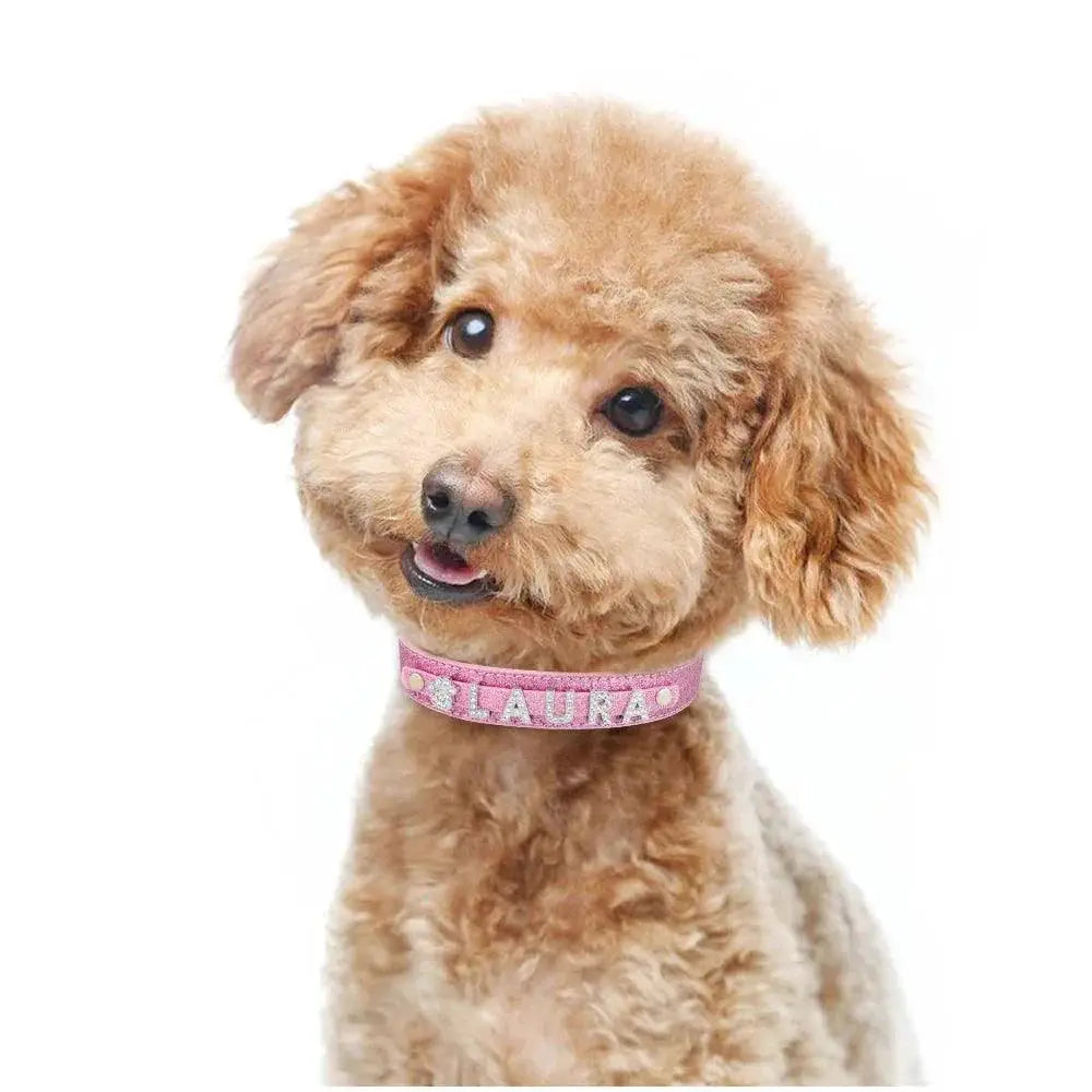 Custom Rhinestone Dog Collar With Personalized Name Plate
