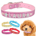 Rhinestone Dog Collar with Name Plate