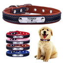 Eco Friendly Dog Collar with Engraved ID