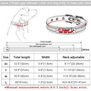 Eco Friendly Dog Collar with Engraved ID