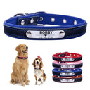 Eco Friendly Dog Collar with Engraved ID