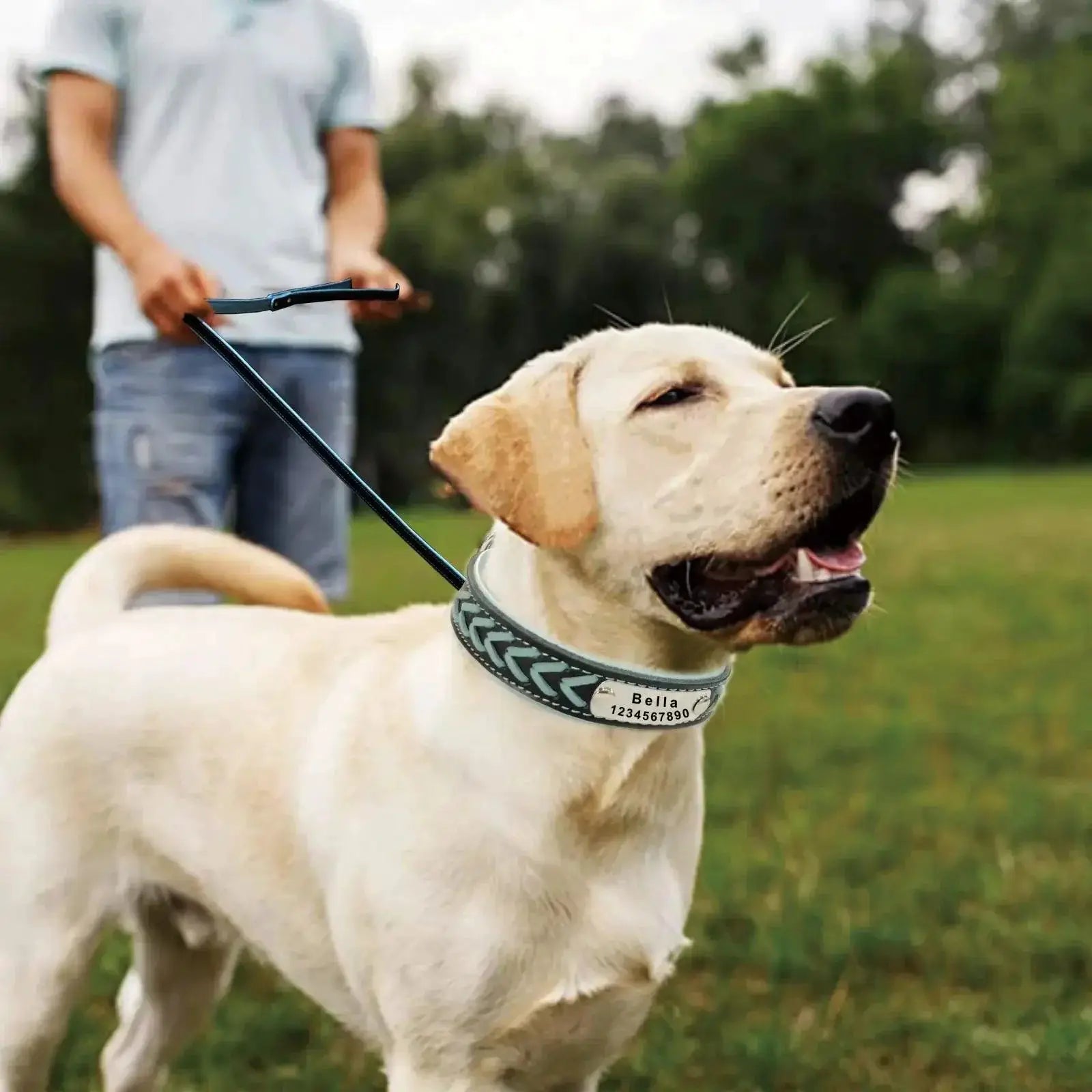 Personalized Leather Dog Collar Stylish Adjustable Fit