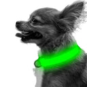Led Glow Dog Collar for Night Walks