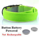 Led Glow Dog Collar for Night Walks