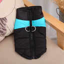 Dog Vest for Golden Retriever Warmth