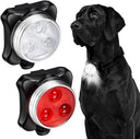 Led Dog Collar for Night Walks Safety