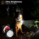 Led Dog Collar for Night Walks Safety