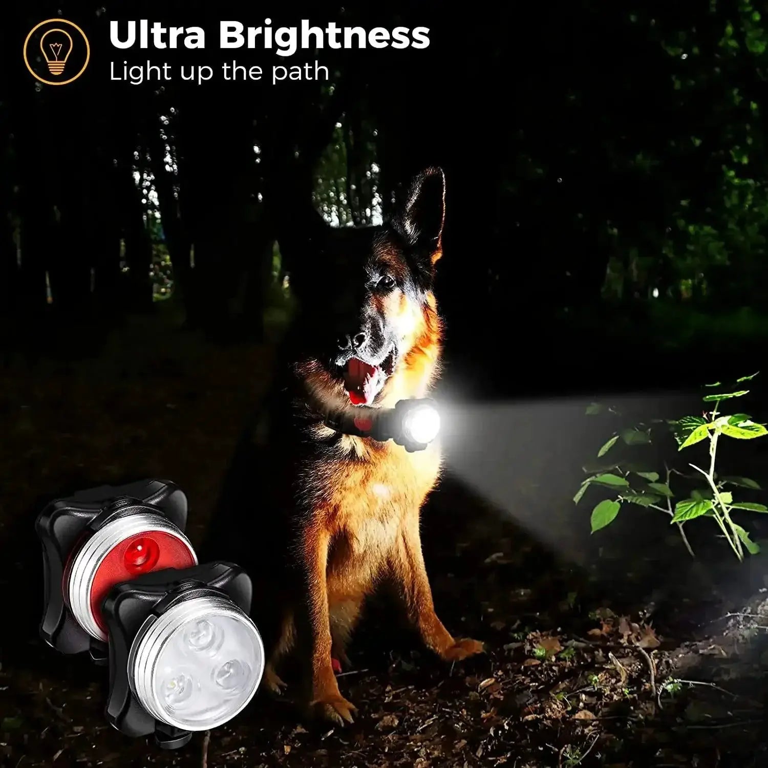 Led Dog Collar Safety Lights For Night Walks And Runs