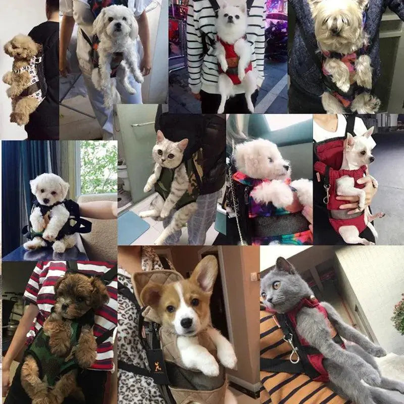 PawVoyage Mesh Dog Carrier Backpack Breathable Travel Bag
