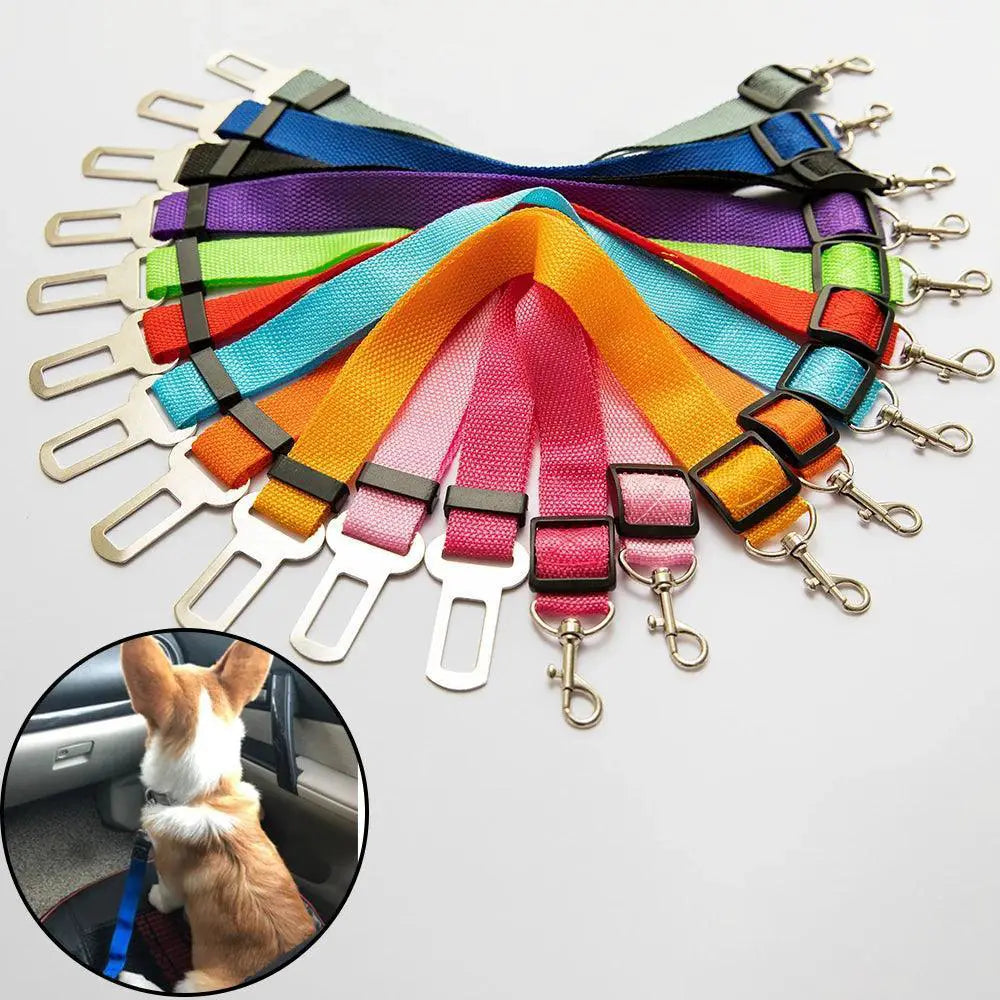 Adjustable Pet Car Safety Belt for Small to Medium Pets