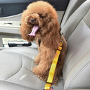 Secure Car Belt for Small Pets and Cats