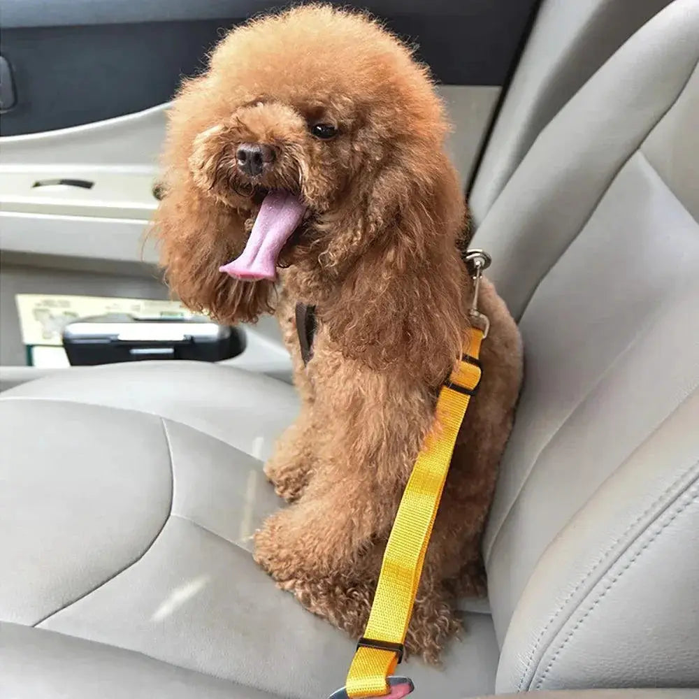 Adjustable Pet Car Safety Belt for Small to Medium Pets