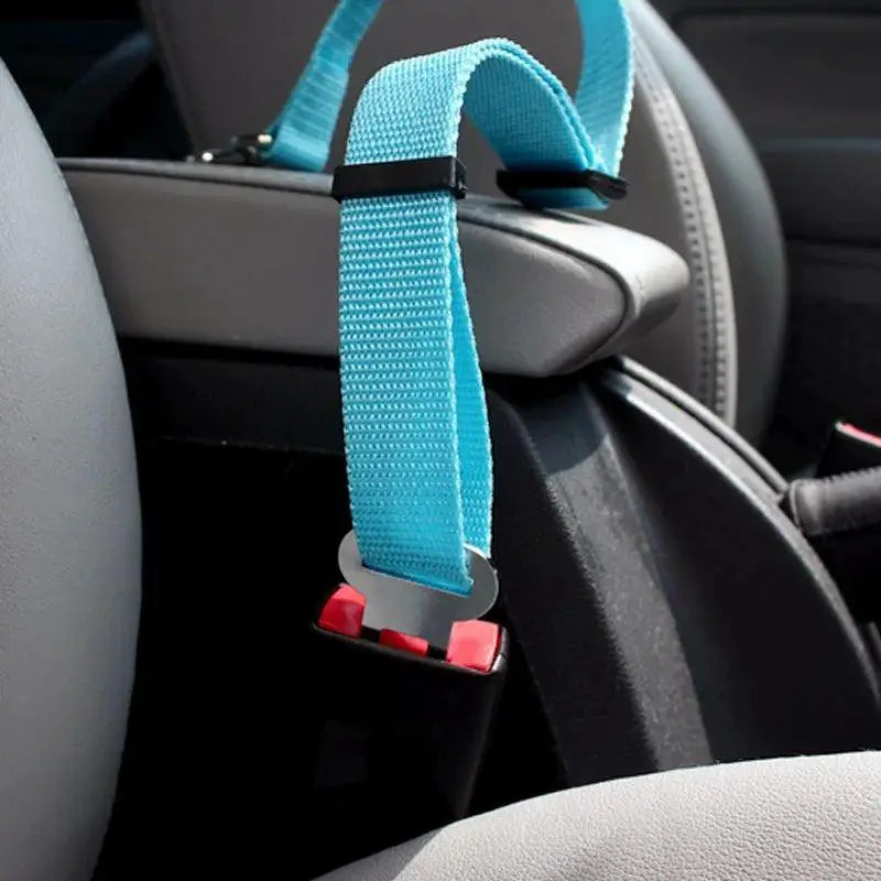 Adjustable Pet Car Safety Belt for Small to Medium Pets
