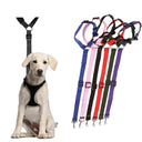 Pet Travel Harness for Safer Car Rides
