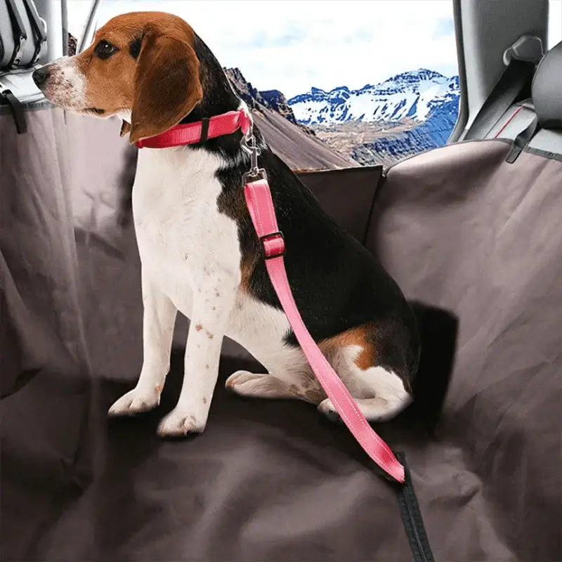 Pet Travel Harness and Adjustable Nylon Seat Belt Leash