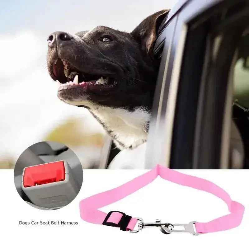 Pet Travel Harness and Adjustable Nylon Seat Belt Leash