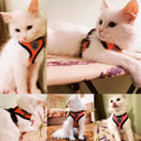 Adjustable Mesh Dog Harness With Comfortable Polyester Leash