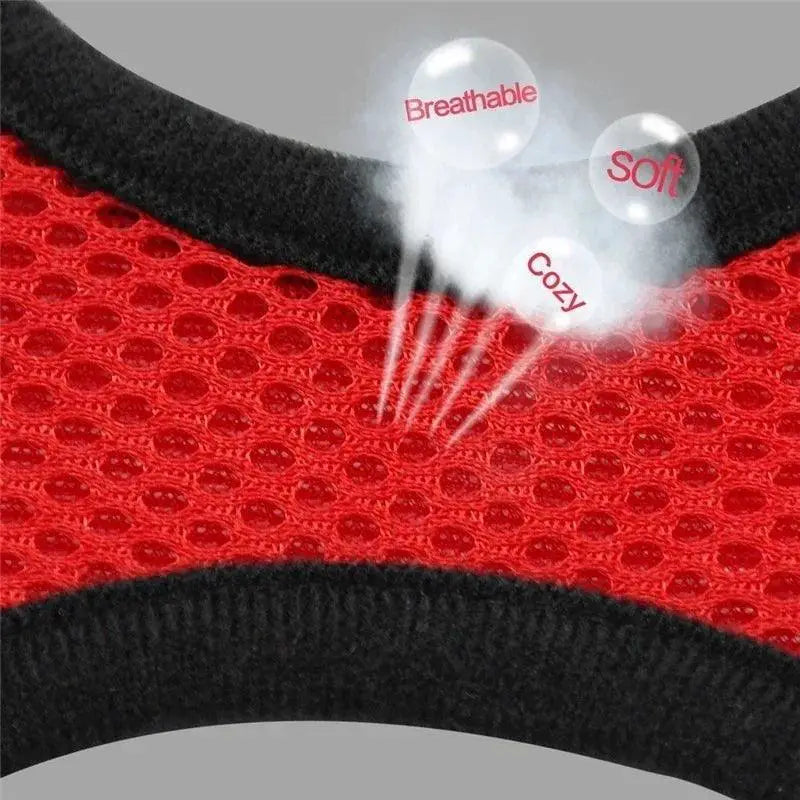 Adjustable Mesh Dog Harness With Comfortable Polyester Leash