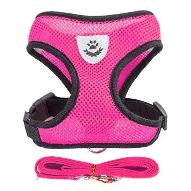 Adjustable Mesh Dog Harness With Comfortable Polyester Leash