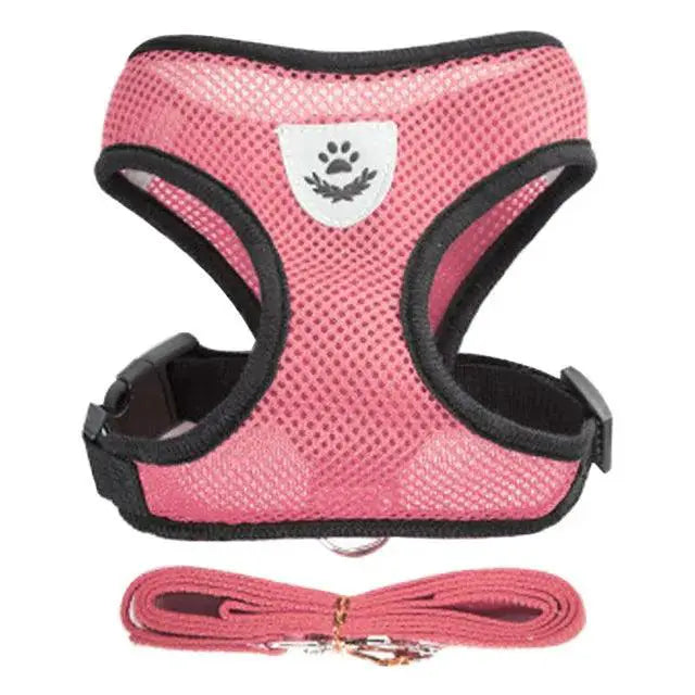 No-Pull Mesh Dog Harness for Small Dogs — product view 11
