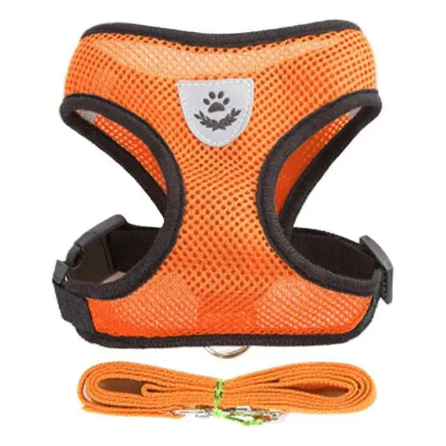 No-Pull Mesh Dog Harness for Small Dogs — product view 12