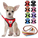 Breathable Nylon Mesh Harness With Leash For Small Dogs