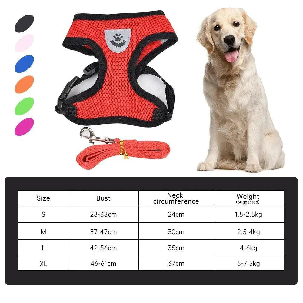 Breathable Nylon Mesh Harness With Leash For Small Dogs
