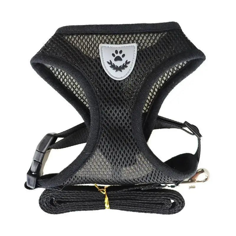 Breathable Nylon Mesh Harness With Leash For Small Dogs