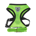 Comfortable Small Dog Harness for Walks