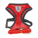 Comfortable Small Dog Harness for Walks