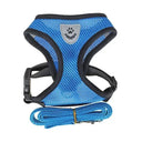 Comfortable Small Dog Harness for Walks