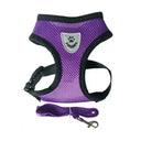 Comfortable Small Dog Harness for Walks