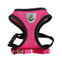 Comfortable Small Dog Harness for Walks
