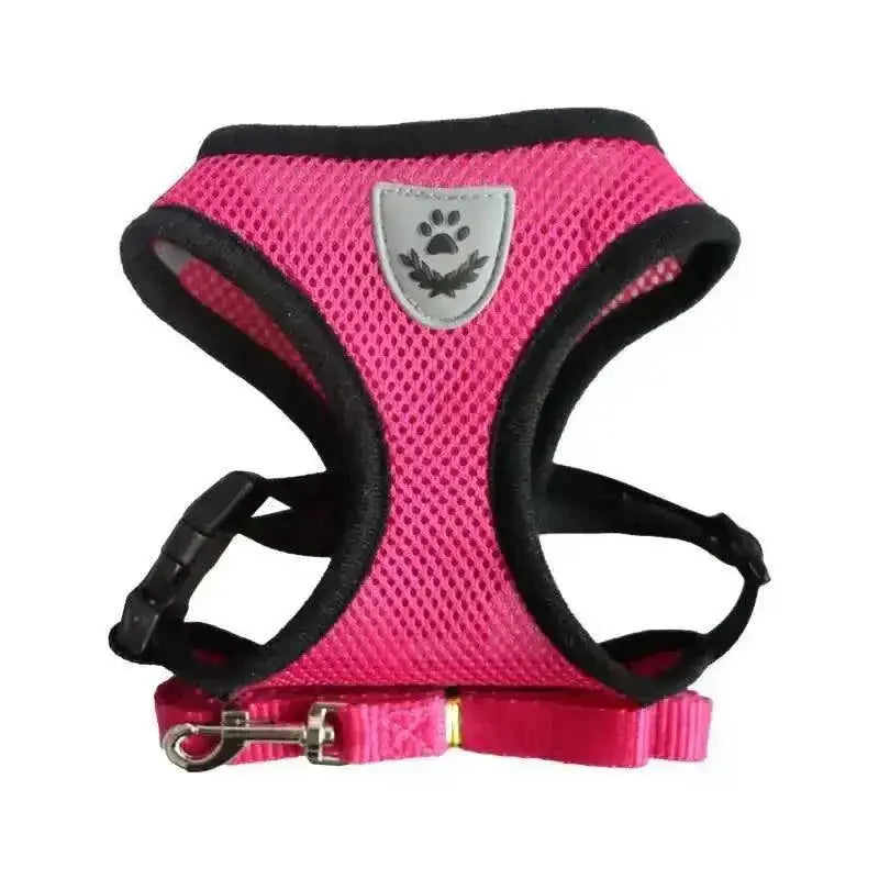 Comfortable Small Dog Harness for Walks — product view 13