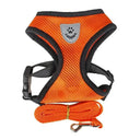 Comfortable Small Dog Harness for Walks