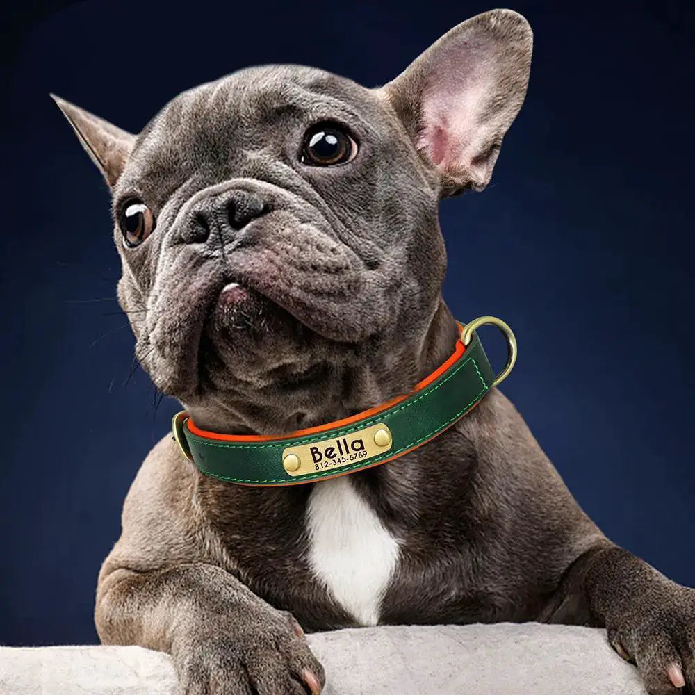 Stylish Personalized Leather Dog Collar With Free Engraving