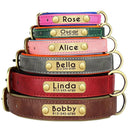 Leather Dog Collar With Free Engraving