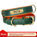 Leather Dog Collar With Free Engraving
