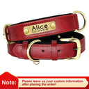 Leather Dog Collar With Free Engraving