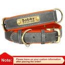 Leather Dog Collar With Free Engraving