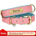 Leather Dog Collar With Free Engraving